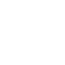 VPS Icon